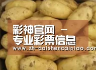 产品展示标题6