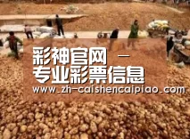 种植基地二