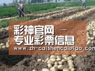 种植基地七(图1)
