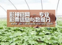 种植基地三