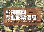 种植基地八(图1)