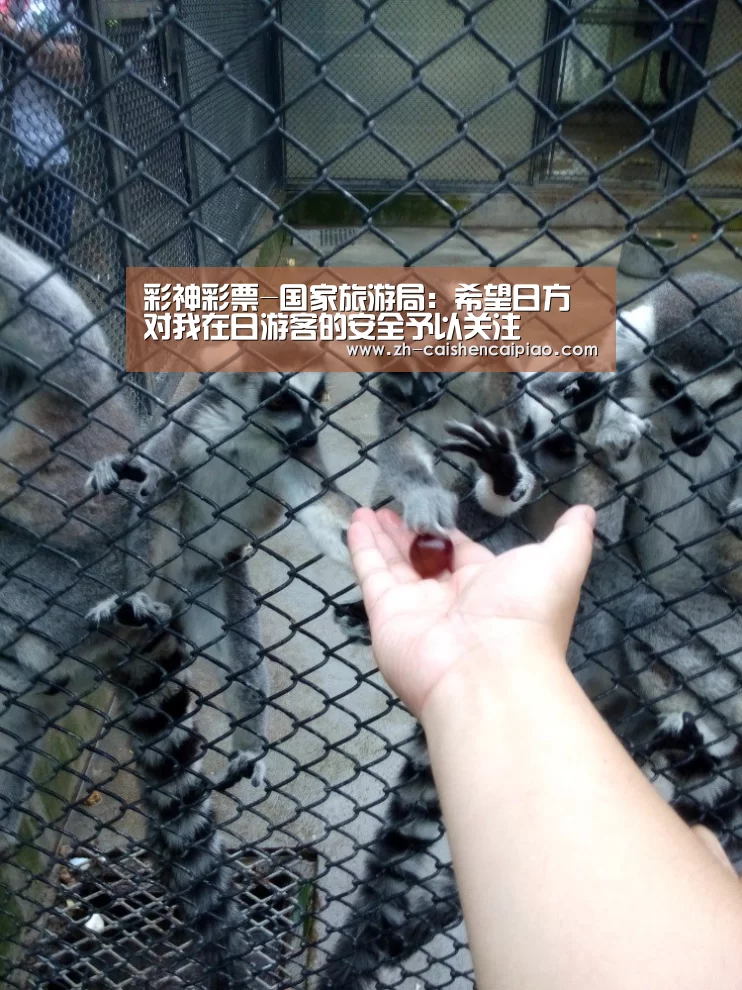 彩神彩票